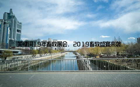 关键词19年畜牧展会, 2019畜牧盛宴来袭, 最新技术、产品一网打尽不容错过在这里, 你还将收获一群志同道合的朋友