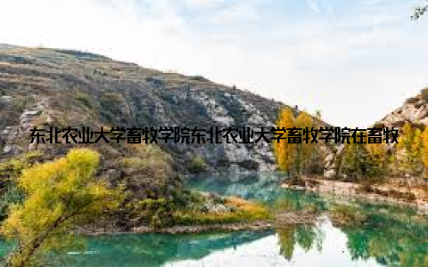 东北农业大学畜牧学院东北农业大学畜牧学院在畜牧科研和人才培养方面具有明显优势, 学院注重理论与实践相结合, 为学子们提供了丰富的实践机会
