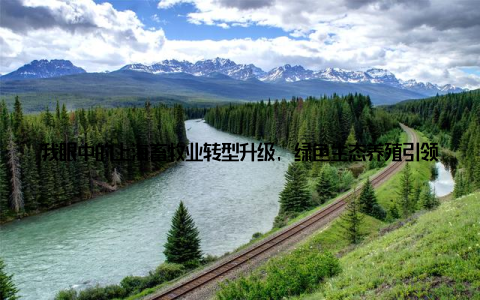 我眼中的上海畜牧业转型升级, 绿色生态养殖引领行业新风尚嘿, 大家好! 今天我要和大家分享一个我亲身经历的故事, 那就是上海畜牧业的转型升级, 以及绿色生态养殖如何引领行业新风尚