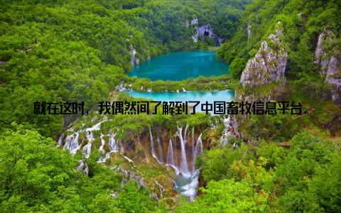 就在这时, 我偶然间了解到了中国畜牧信息平台, 这个全新的畜牧信息交流平台让我眼前一亮我最初接触中国畜牧信息平台是在一次行业交流会上