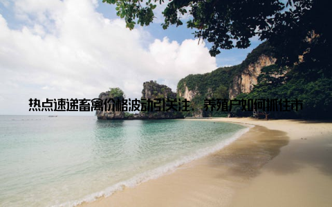 热点速递畜禽价格波动引关注, 养殖户如何抓住市场机遇最近, 一则关于今日润农畜牧报价的消息在养殖户群体中引起了广泛关注