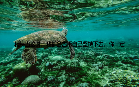 但每当这时, 我都会告诉自己坚持下去, 你一定能成功! 正是这份执着和坚持, 让我们在创新的道路上越走越远