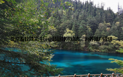 北京畜牧网关注行业最新技术动态, 为养殖户提供技术支持, 提高养殖效益二、技术革新, 助力养殖户增在畜牧行业中, 技术革新是推动产业发展的关键