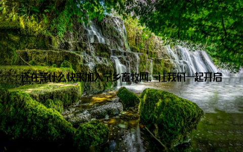 还在等什么快来加入宁乡畜牧网, 让我们一起开启养殖致富之路吧! 祝愿每一位养殖户都能实现增收致富的梦想, 过上幸福美满的生活! 宁乡畜牧网, 与你同行, 共创美好未来!