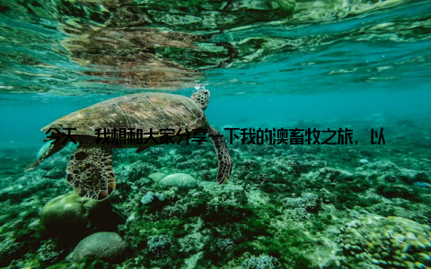 今天, 我想和大家分享一下我的澳畜牧之旅, 以及我们如何在严峻的挑战面前, 寻求转型升级之路记得那是一个阳光明媚的早晨, 我踏上了澳大利亚这片美丽的土地