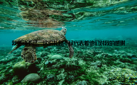 我感动不已, 这份礼物不仅代表着他们对我的感谢, 更是对中慧畜牧网的信任回到城市, 我时常想起那片美丽的乡村和那些热情的村民们