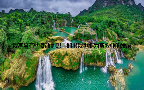 我甚至有些激动地想, 如果我也能为畜牧业的发展贡献一份力量, 那该多好啊! 走在展会的各个角落, 我看到了畜牧业的过去、现在和未来