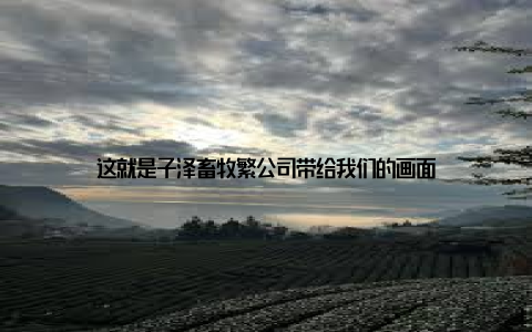 这就是子泽畜牧繁公司带给我们的画面