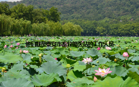 他们就是泰安市畜牧兽医站的工作人员