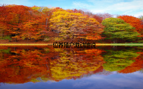 一位养殖户激动地说