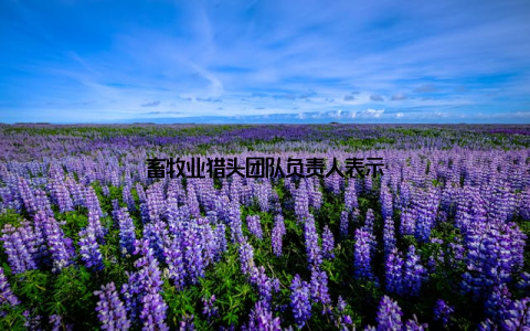 畜牧业猎头团队负责人表示