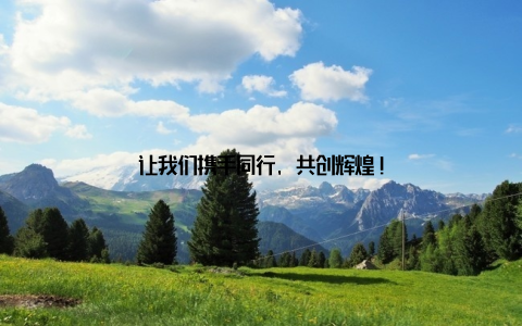 让我们携手同行, 共创辉煌!