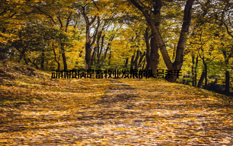 动物疫病是畜牧业发展的头号杀手