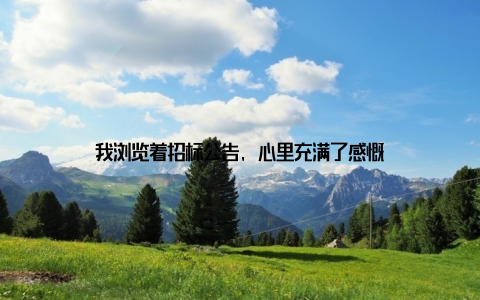 我浏览着招标公告, 心里充满了感慨