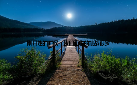 刚开始的时候, 我们面临的挑战很多
