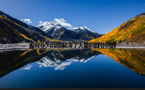 畜牧业为我国解决了大量的就业问题