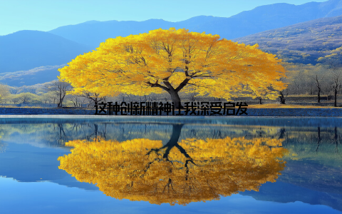 这种创新精神让我深受启发