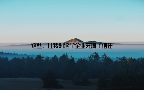这些, 让我对这个企业充满了信任