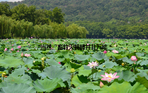 当然, 畜牧灭蝇棒并非万能