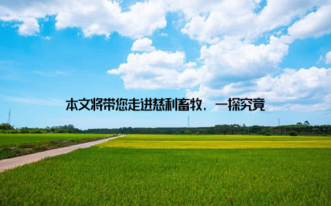 本文将带您走进慈利畜牧, 一探究竟