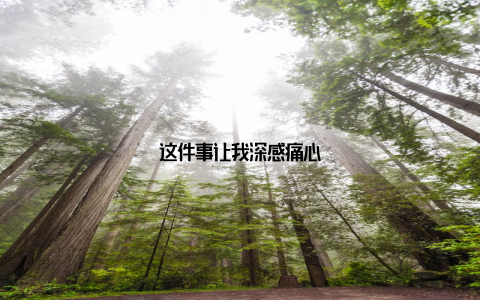 这件事让我深感痛心