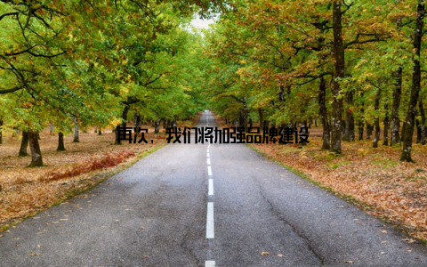 再次, 我们将加强品牌建设