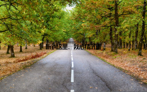 听到这里, 我心情沉重