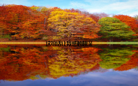 这句话让我感触颇深