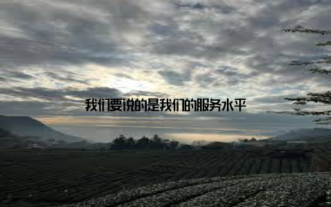 我们要说的是我们的服务水平
