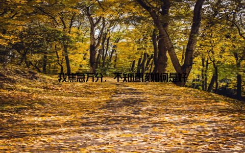 我焦急万分, 不知道该如何是好