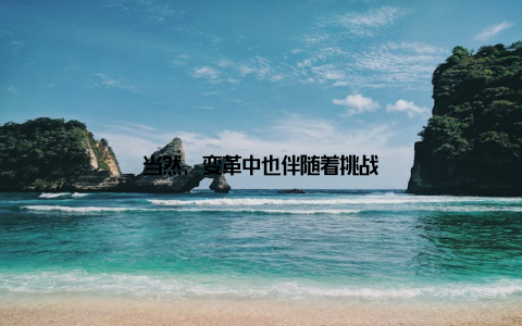 当然, 变革中也伴随着挑战