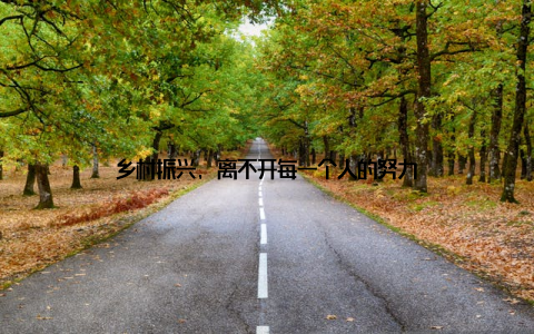 乡村振兴, 离不开每一个人的努力