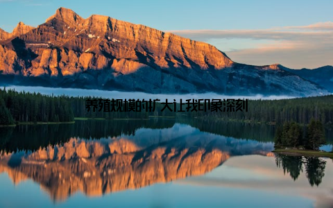 养殖规模的扩大让我印象深刻