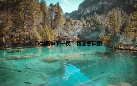 作为其中的一员, 我深感自豪