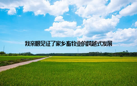 我亲眼见证了家乡畜牧业的跨越式发展