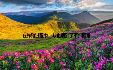 在养殖过程中, 我也遇到了不少困难