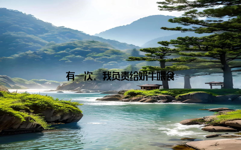 有一次, 我负责给奶牛喂食