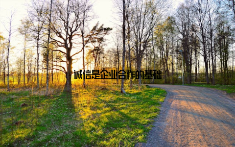 诚信是企业合作的基础