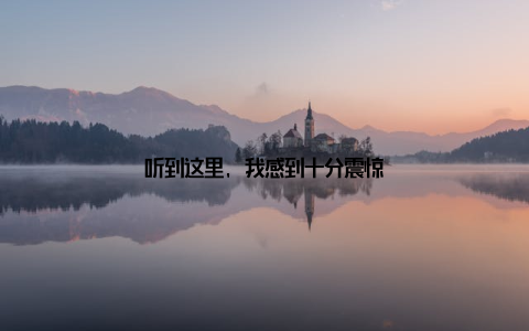 听到这里, 我感到十分震惊