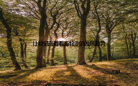 让我们来看看畜牧业的发展趋势