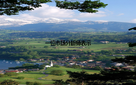 一位市场分析师表示