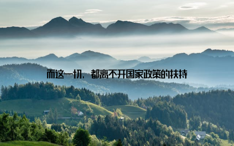 而这一切, 都离不开国家政策的扶持