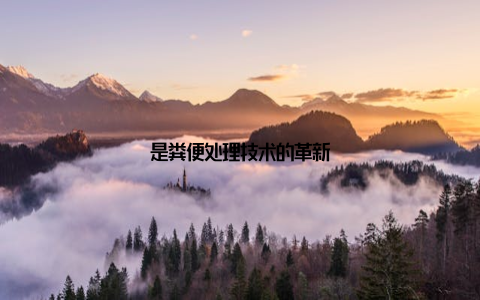 是粪便处理技术的革新