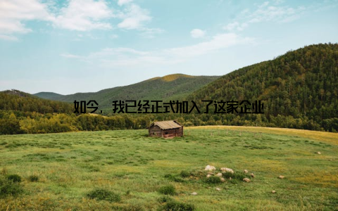 如今, 我已经正式加入了这家企业