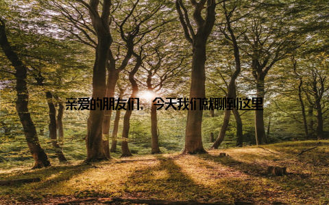 亲爱的朋友们, 今天我们就聊到这里