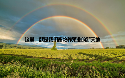 这里, 就是我们畜牧养殖业的新天地