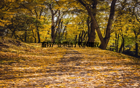 畜牧产业带动了农民增收