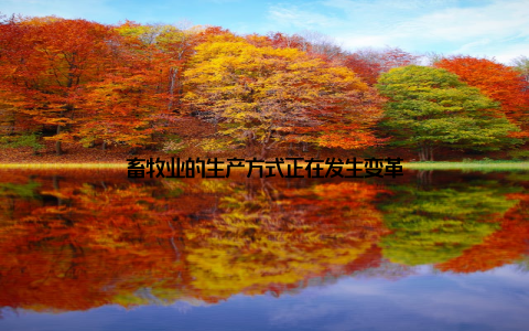 畜牧业的生产方式正在发生变革