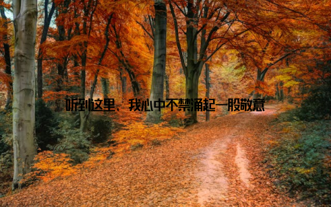 听到这里, 我心中不禁涌起一股敬意