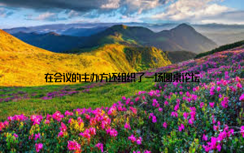 在会议的主办方还组织了一场圆桌论坛